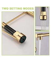 Streamdale Furniture Commercial Pull Down Kitchen Sink Faucet Single Handle Modern Kitchen Faucets