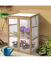 30 x 22 x 43 Inch Garden Portable Wooden Greenhouse