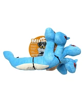 Mighty Dragon Hydra, 2-Pack Dog Toys