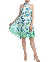 kimi + kai Maternity Norah Skater Dress