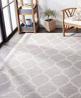 Safavieh Amherst AMT415 Light Gray and 3' x 5' Area Rug