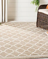 Safavieh Amherst AMT422 Wheat and Beige 5' x 8' Area Rug