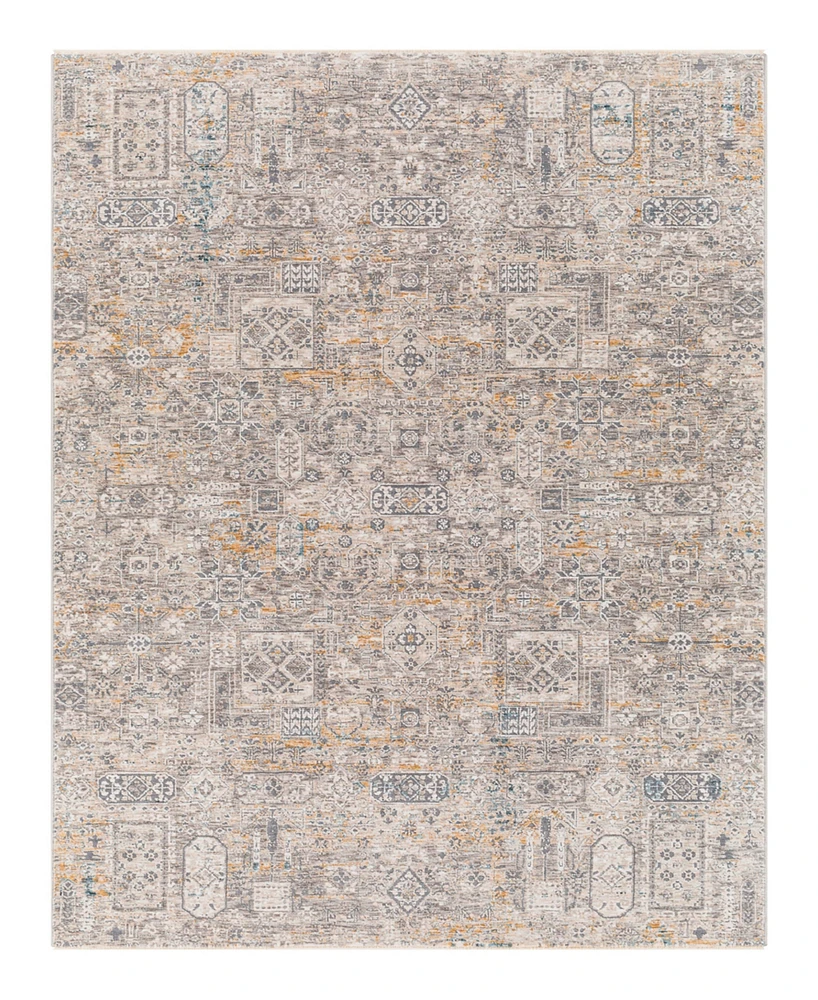 Livabliss Cardiff Cdf-2309 7'10x10'3 Area Rug