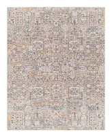 Livabliss Cardiff Cdf-2309 7'10x10'3 Area Rug