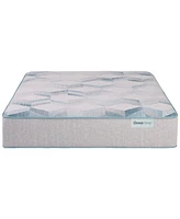 Beautyrest Beauty Sleep Dream Weaver 13.75" Plush Mattress