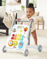 Explore & More 4-in-1 Grow Along Activity Walker Baby Toy