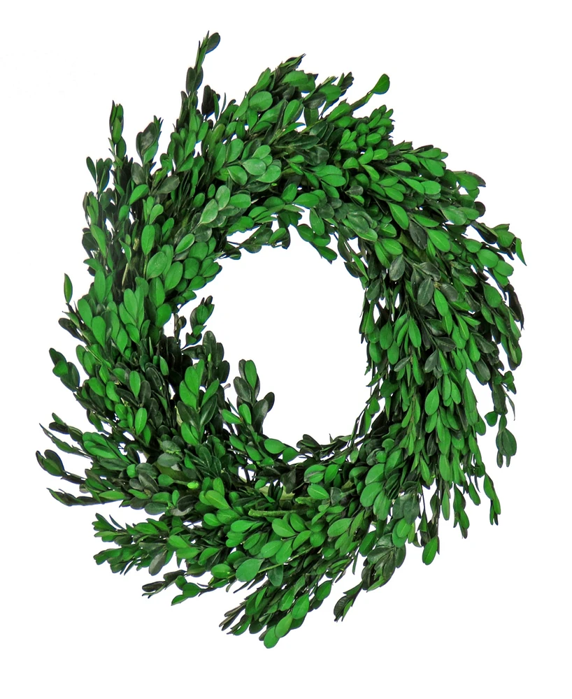 National Tree Company 18 Spring Boxwood Wreath