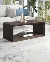 Hudson & Canal Osmond 48" Wide Rectangular Coffee Table in Alder