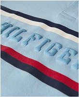 Tommy Hilfiger Little Boys Global Chest Cotton Polo Shirt