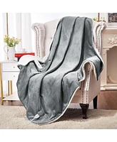 Caromio Full Flannel Electric Heated Blanket, 72" x 84"