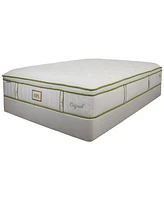 Paramount Nature Spa Jasmine 15" Ultra Plush Eurotop Mattress