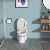 Ceramic One Piece Toilet