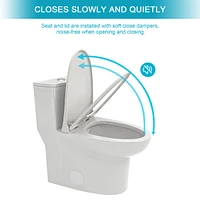 Streamdale Furniture Ceramic One Piece Toilet, Dual Flush With Soft Closing Seat 0002