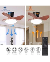 24" Walnut Ceiling Fan with Lights, Remote & Led