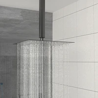 16" Rain Shower Head Systems, Matte, Ceiling Mounted Shower