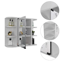 Roseburg 6-Shelf Medicine Cabinet With Mirror