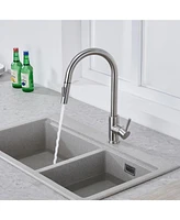 Mondawe Kitchen Sink Faucet with Pull Out Sprayer - Single Hole Solid Brass Body, Two Function Spray