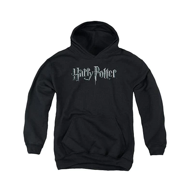 Harry Potter Youth Logo Pull Over Hoodie / Hooded Sweatshirt