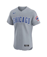 Nike Men's Gray Chicago Cubs Road 2024 Jackie Robinson Day Elite Jersey