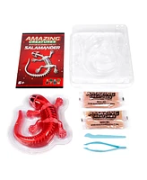 World Tech Toys Amazing Creatures Synthetic Dissection Kit - Salamander