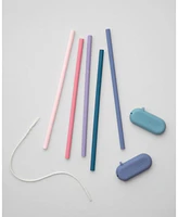 Gir Traveler Straw - 5 piece