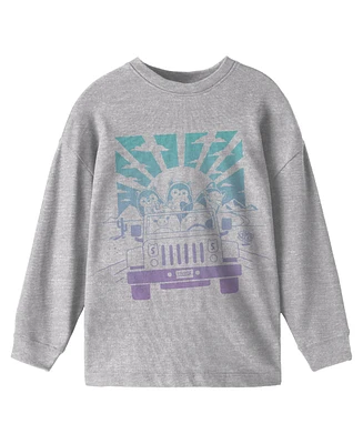 Squishmallows Boys Car Ride Crew Neck Long Sleeve Gray Youth Tee