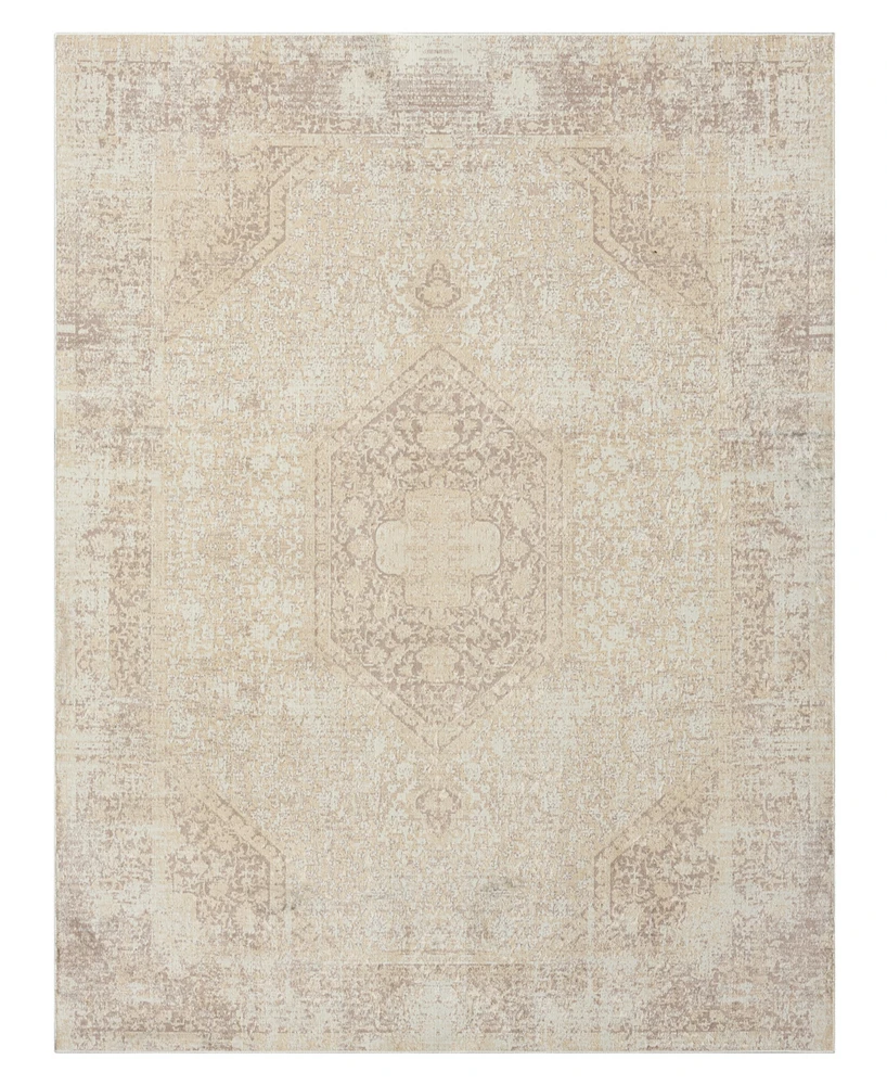 Lr Home Anna Ari- 2'8"x3'10" Area Rug