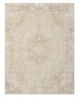 Lr Home Anna Ari- 2'8"x3'10" Area Rug