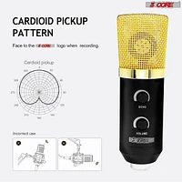5 Core Recording Microphone Podcast Bundle • Professional Condenser Cardioid Mic Kit • w Boom Arm - Rm 7 Bg