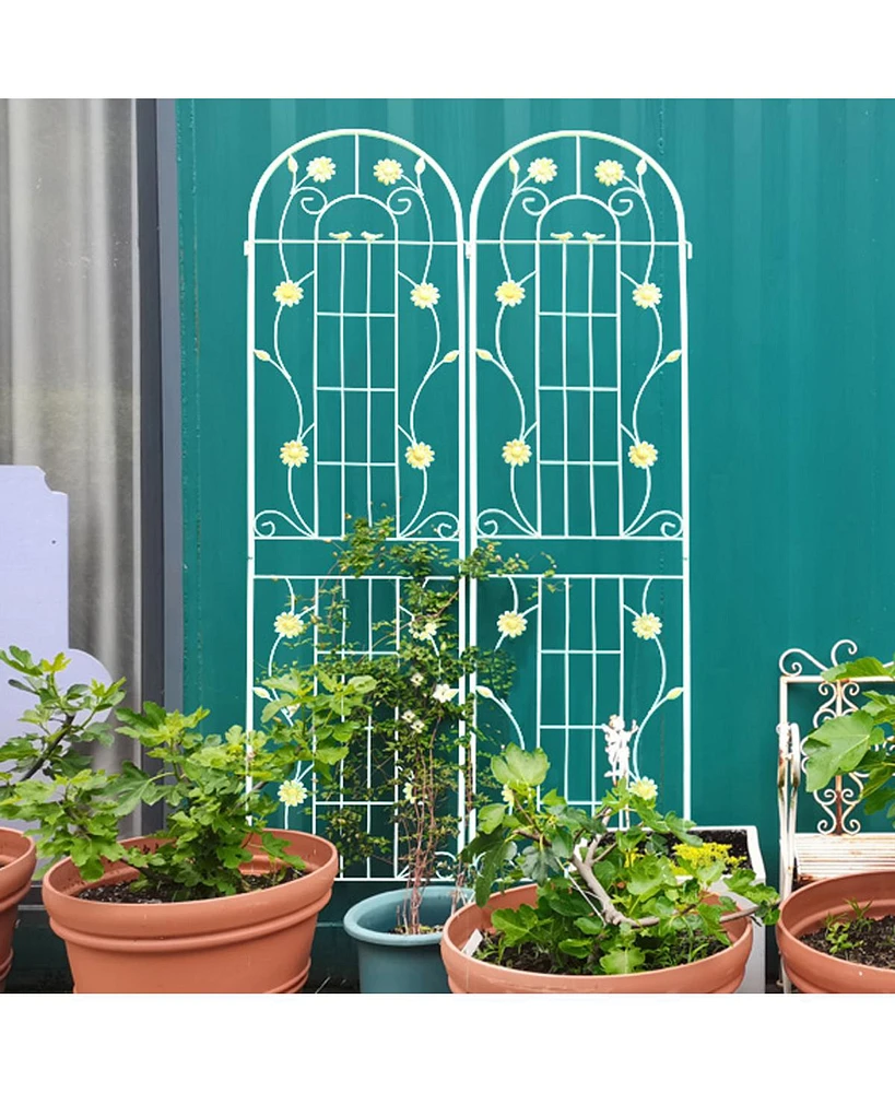 Simplie Fun Rustproof Metal Garden Trellis for Climbing Plants