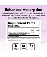 Theralogix Berberine Enhanced Absorption - 90-Day Supply - Made with Berberine Phytosome to Help Support Healthy Metabolism & Hormone Balance