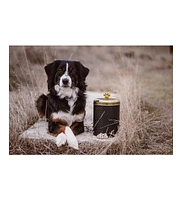 Amici Pet Woofgang Storage Canister, 70 oz., Black w/ Gold Lid