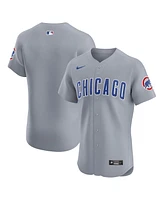 Nike Men's Chicago Cubs Road Vapor Premier Elite Patch Jersey