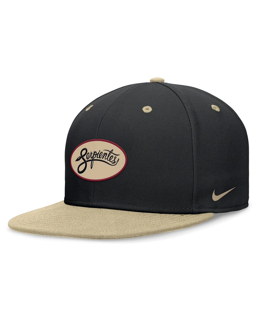 Nike Men's / Arizona Diamondbacks City Connect True Fitted Hat