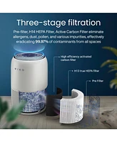 Hepa Smart Air Purifier up to 770 Sqft