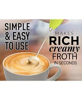 Stainless Steel Handheld Foam Maker with Case Stand Milk Frother