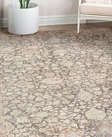 Dalyn Kars KA7 8'x10' Area Rug