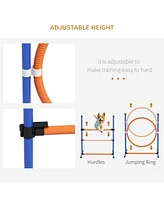 Streamdale Furniture Complete Dog Agility Set Train Your Pet to Conquer Challenges