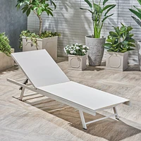 White Mesh Chaise Lounge for Outdoor Relaxation and Sunbathing