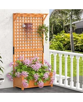 Raised Garden Bed with Trellis and Hanging Roof