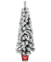 National Tree Company Pre-Lit Feel Real Snowy Pogue Pine Artificial Christmas Entrance Tree 5 ft.
