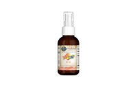 Garden of Life mykind Organics Organics B12 Spray, 2 Oz