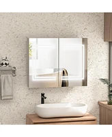 kleankin Wall-Mounted Medicine Cabinet W/ Mirror, Dimming Led Light, White