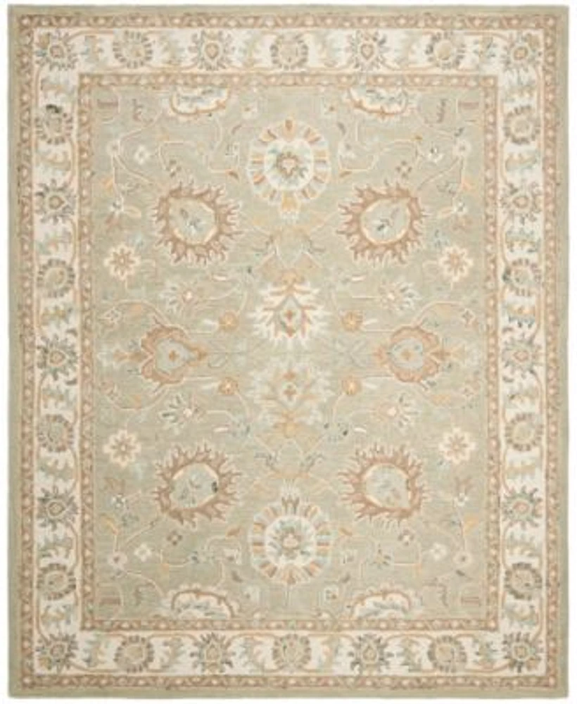 Safavieh Blossom Ii Blm702 Area Rug Collection