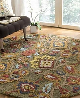 Safavieh Blossom Ii BLM402 3'x3' Round Area Rug