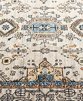 Adorn Hand Woven Rugs Serapi 4'1"x5'10" Area Rug