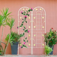 Rustproof Metal Garden Trellis for Climbing Plants