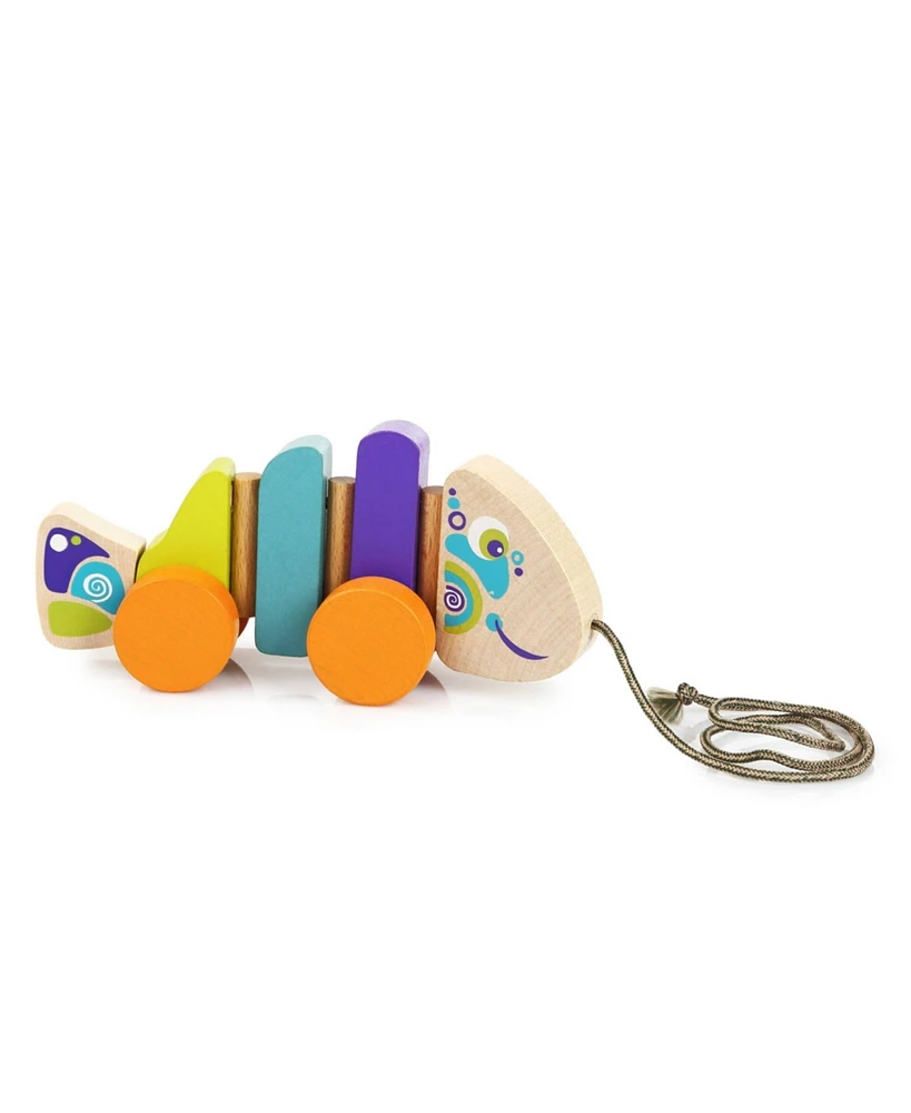 Cubika Wise Elk/Cubika Wooden Push&Pull Toy - Walk-a-Long Fish - Assorted Pre