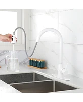 Kitchen Faucet With Pull Out Sprayer