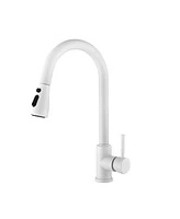 Streamdale Furniture Kitchen Faucet With Pull Out Sprayer